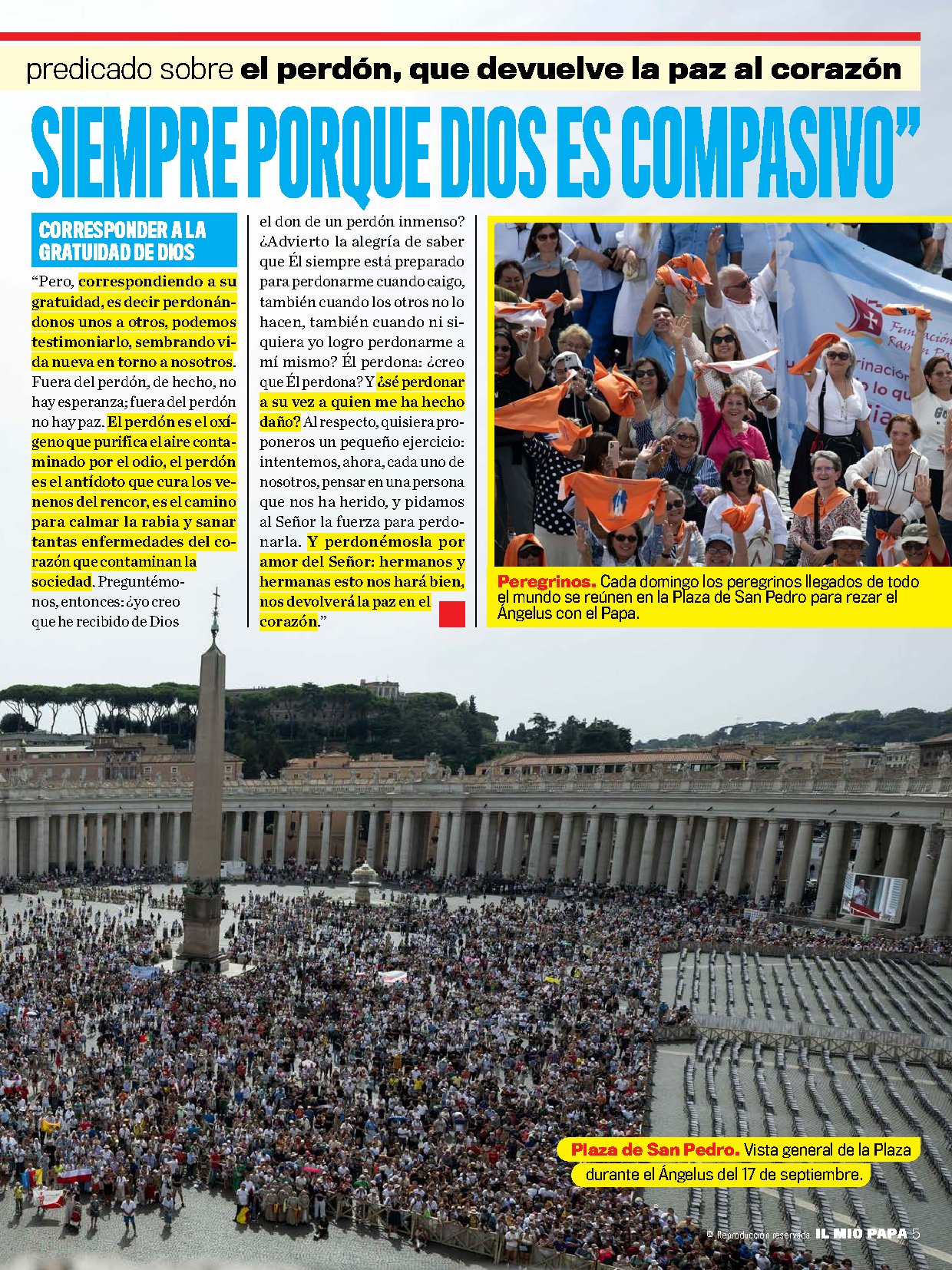 Página 5