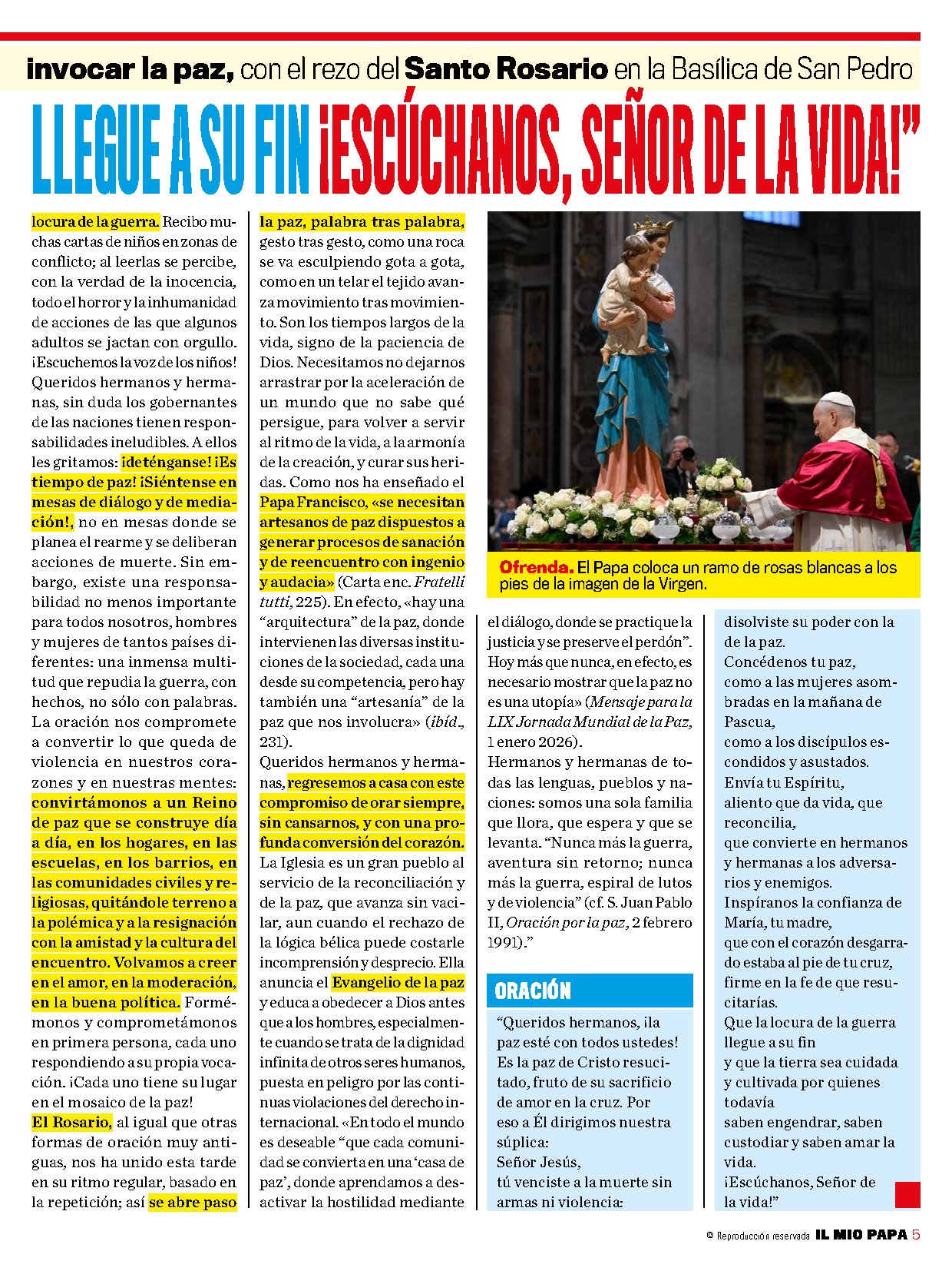 Página 5