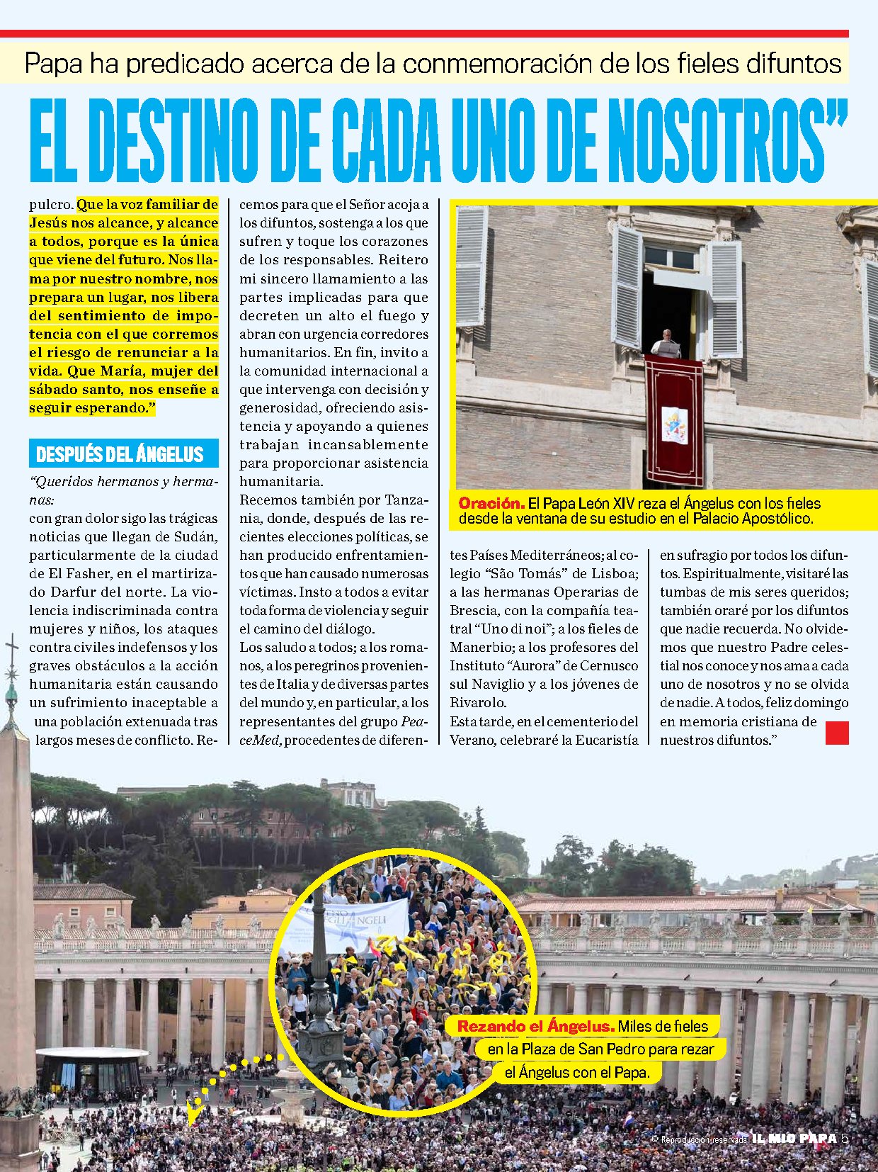 Página 5